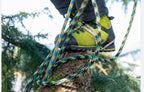 Haix 603113 Protector Ultra 2.0 GTX Comfortable Forestry Lime Green Safety Boot